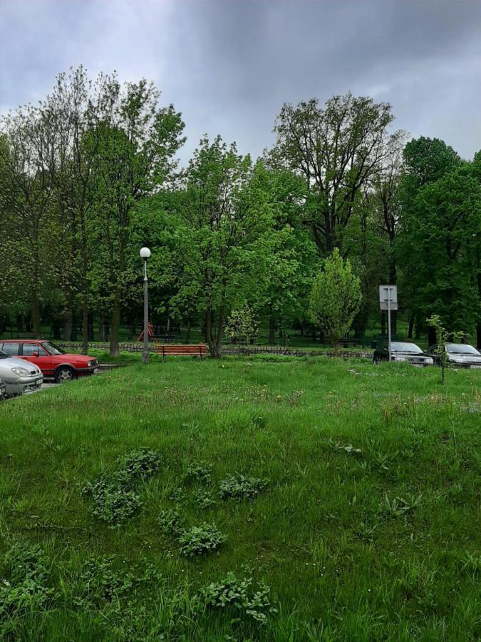 Appartamento Apartament Piastowska Kamienna Gora Esterno foto